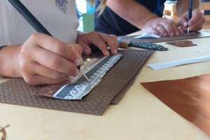 Il MuVet per le scuole. Proposte educative per tutti